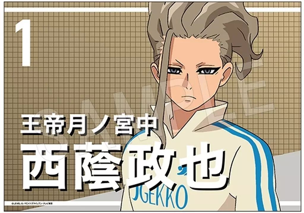 イナズマイレブン 西蔭政也◯5890 Amazon.co.jp: イナズマイレブン 西蔭政也 アクリルスタンド