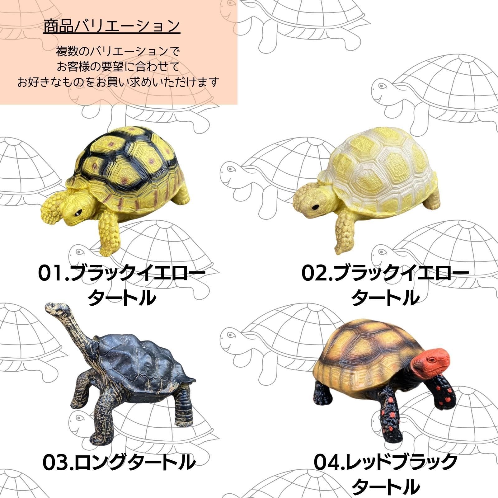 カメ様 リクエスト 6点 まとめ商品 数量限定】亀 カメ リクガメ [S.T.S.G] タートル 置物 庭 ガーデニング