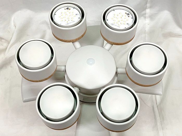 訳有動作品 大光電機 LEDシーリングファン ～10畳 4枚羽 6灯 9573 NEXPOTALLINN_EU