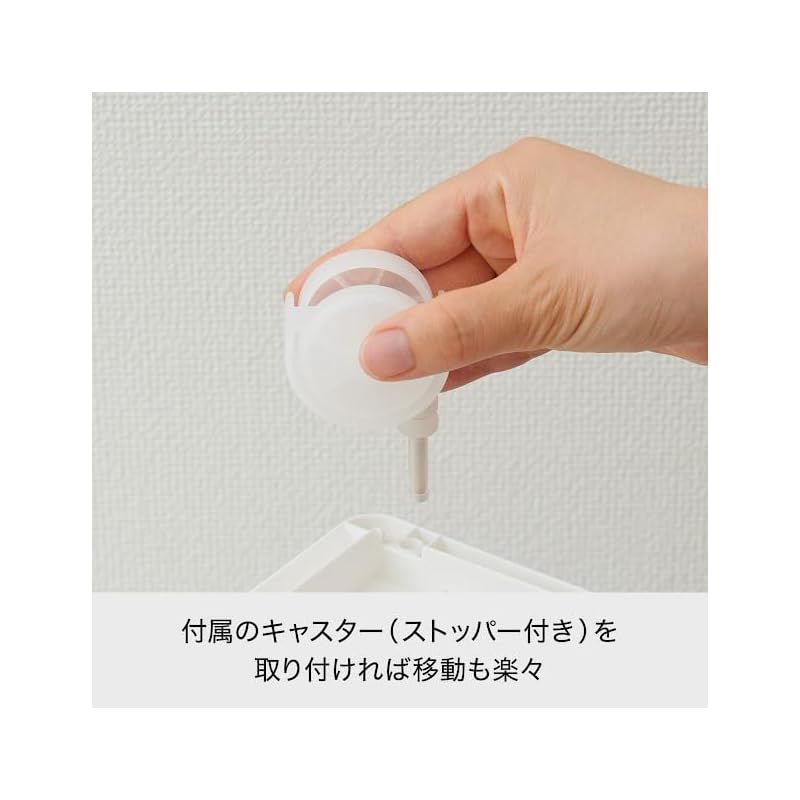 多分別 ダストボックス