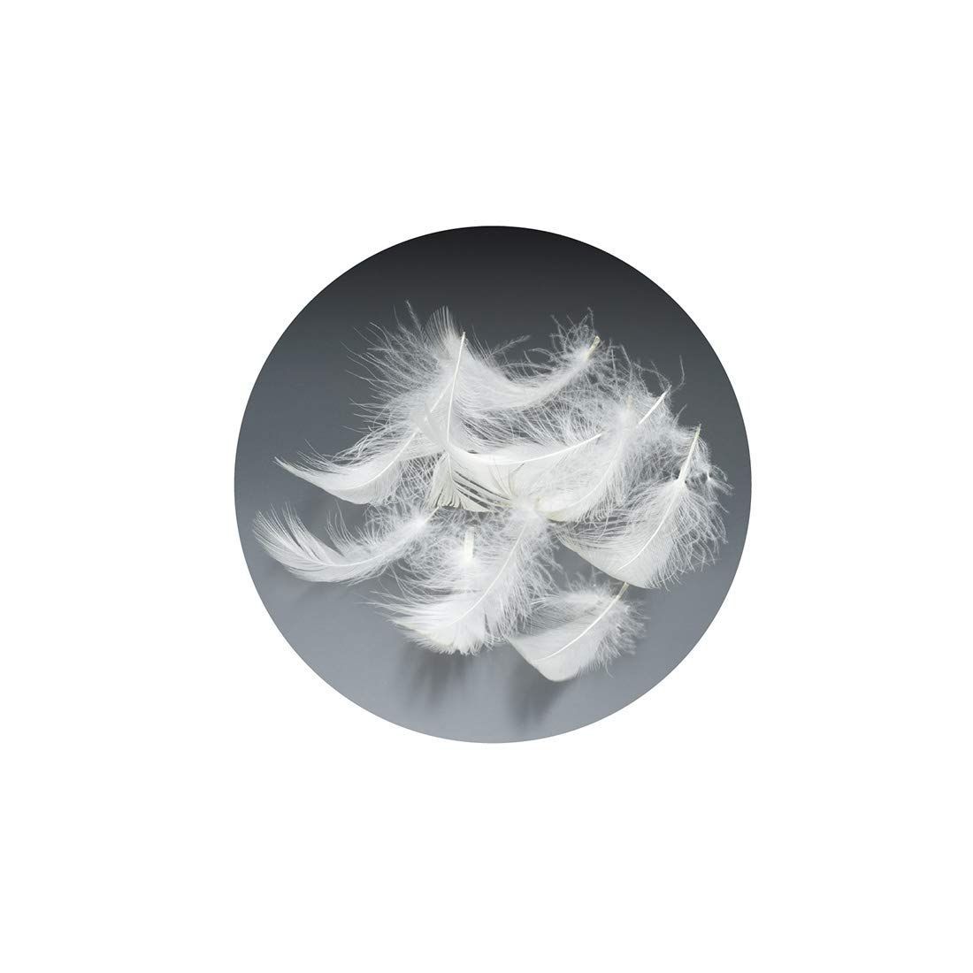 数量 高感触フェザー使用 高い吸湿発散性 フェザーピロー 側地 綿100% 50×70cm 羽根枕 キナリ フランスベッド フランスベッド 076468168