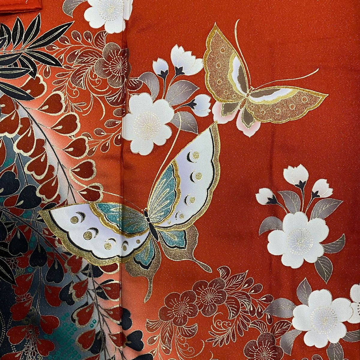 袷 蝶