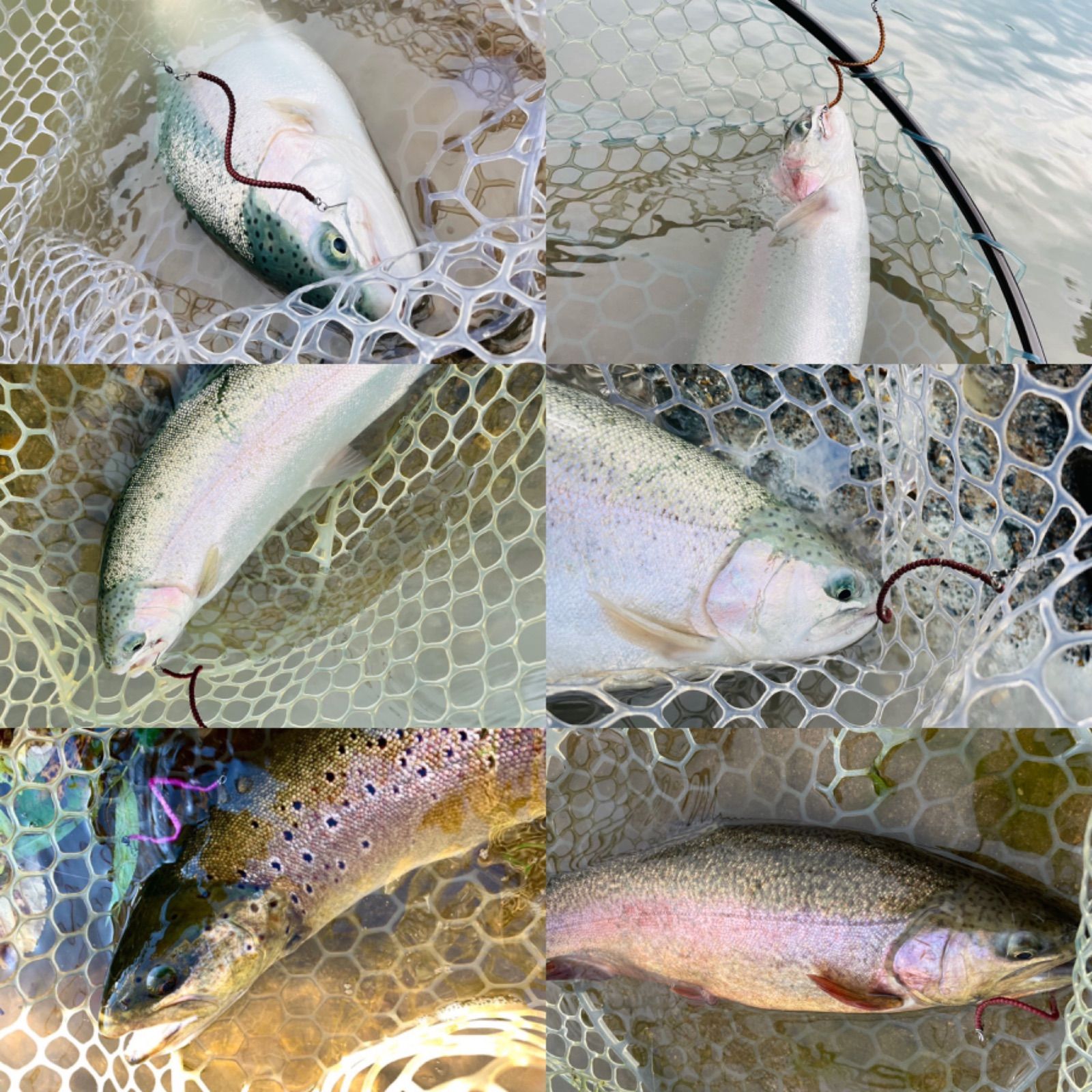 【数量限定！】管釣り エリアトラウト 海鱒スパイラルルアー Hunter 爆釣カラー！】エリアトラウト 管釣り 海鱒スパイラルHunter2本