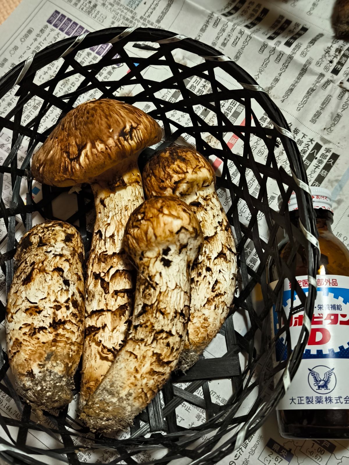 岩手県産】松茸 203g 国産本場 本日採れたて まつたけ 【公式通販】