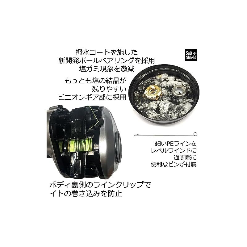 Amazon | AbuGarcia (アブガルシア) MAX DLC MHP 大画面