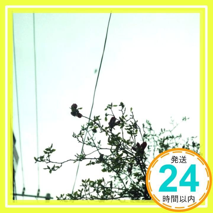 美品 匿名配送 サイン入り CD クリープハイプ 待ちくたびれて朝がくる 待ちくたびれて朝がくる/クリープハイプ