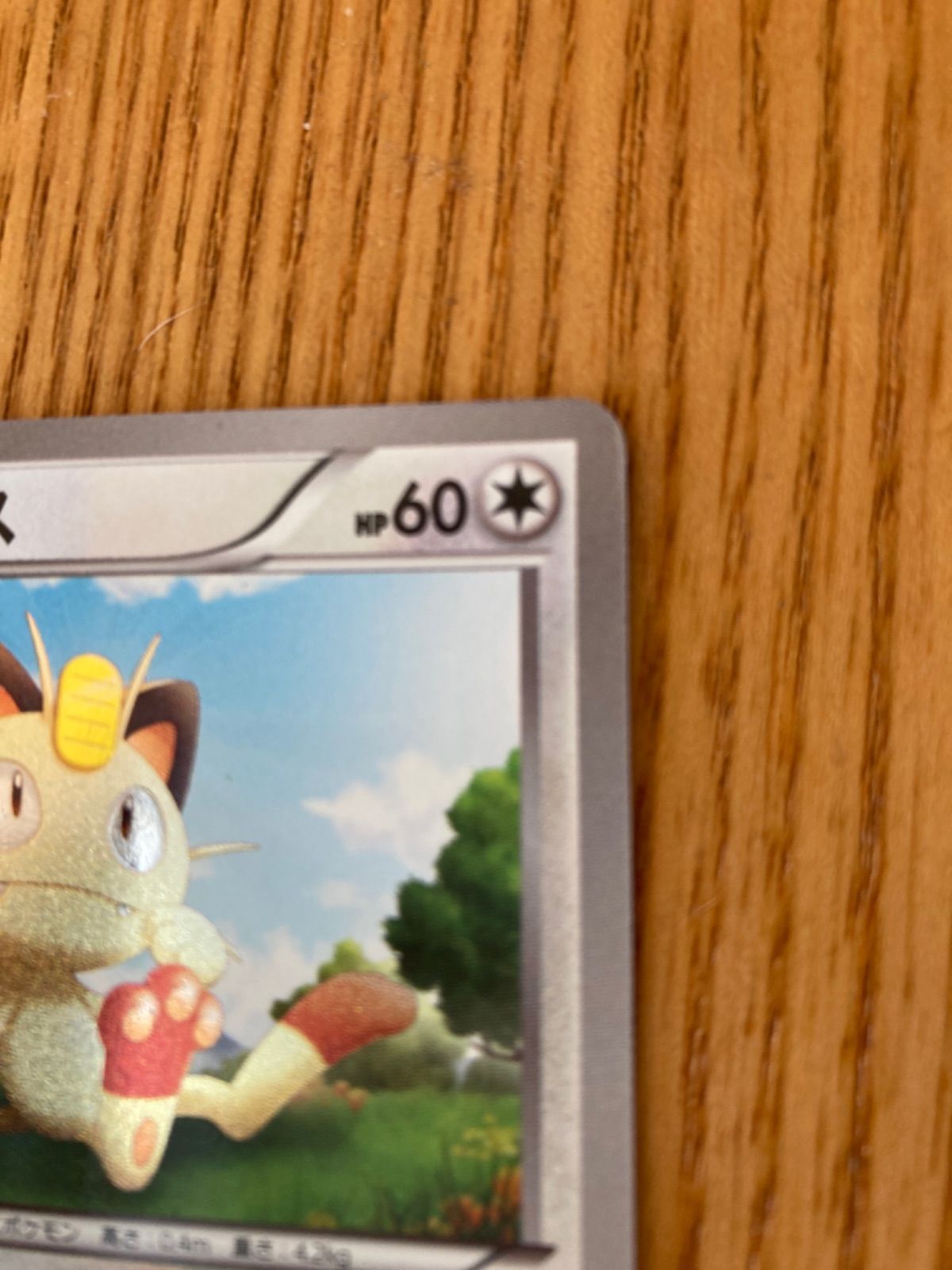 ARS AU 真贋鑑定】ニャース UR レッドコレクション 072/066