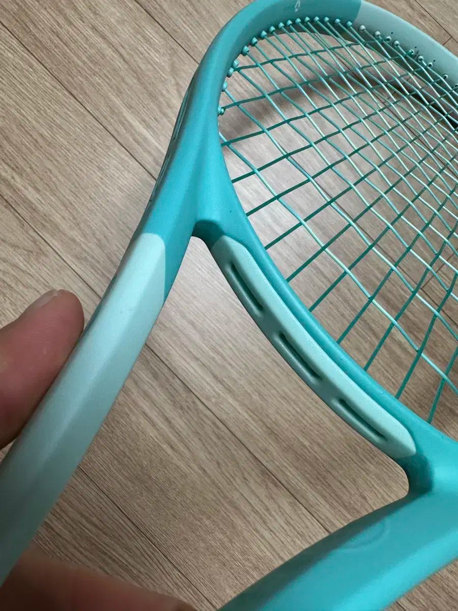 アップルミント 2025