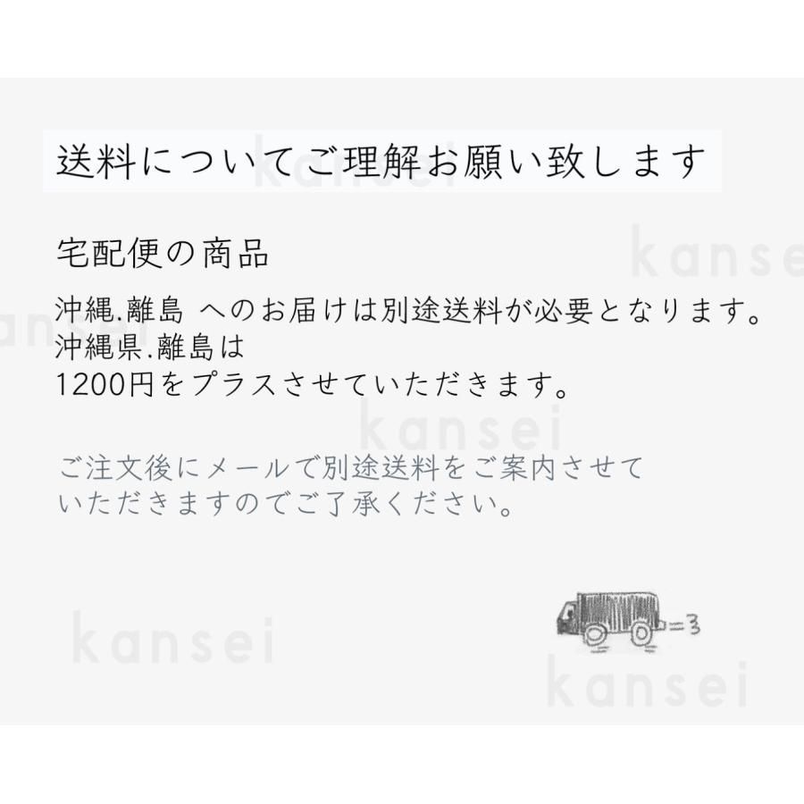アーチスタフォルモ 500ｇ