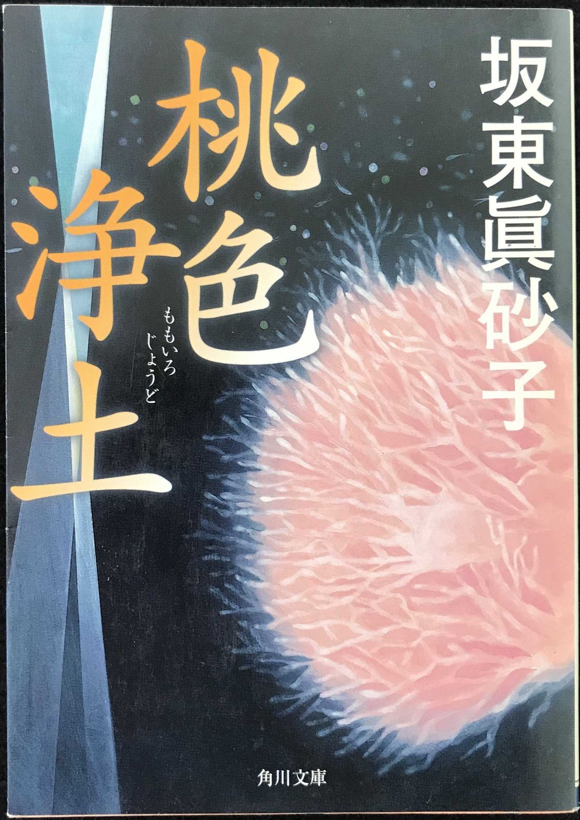 メ*3様 額 絵画 版画 笹倉鉄平