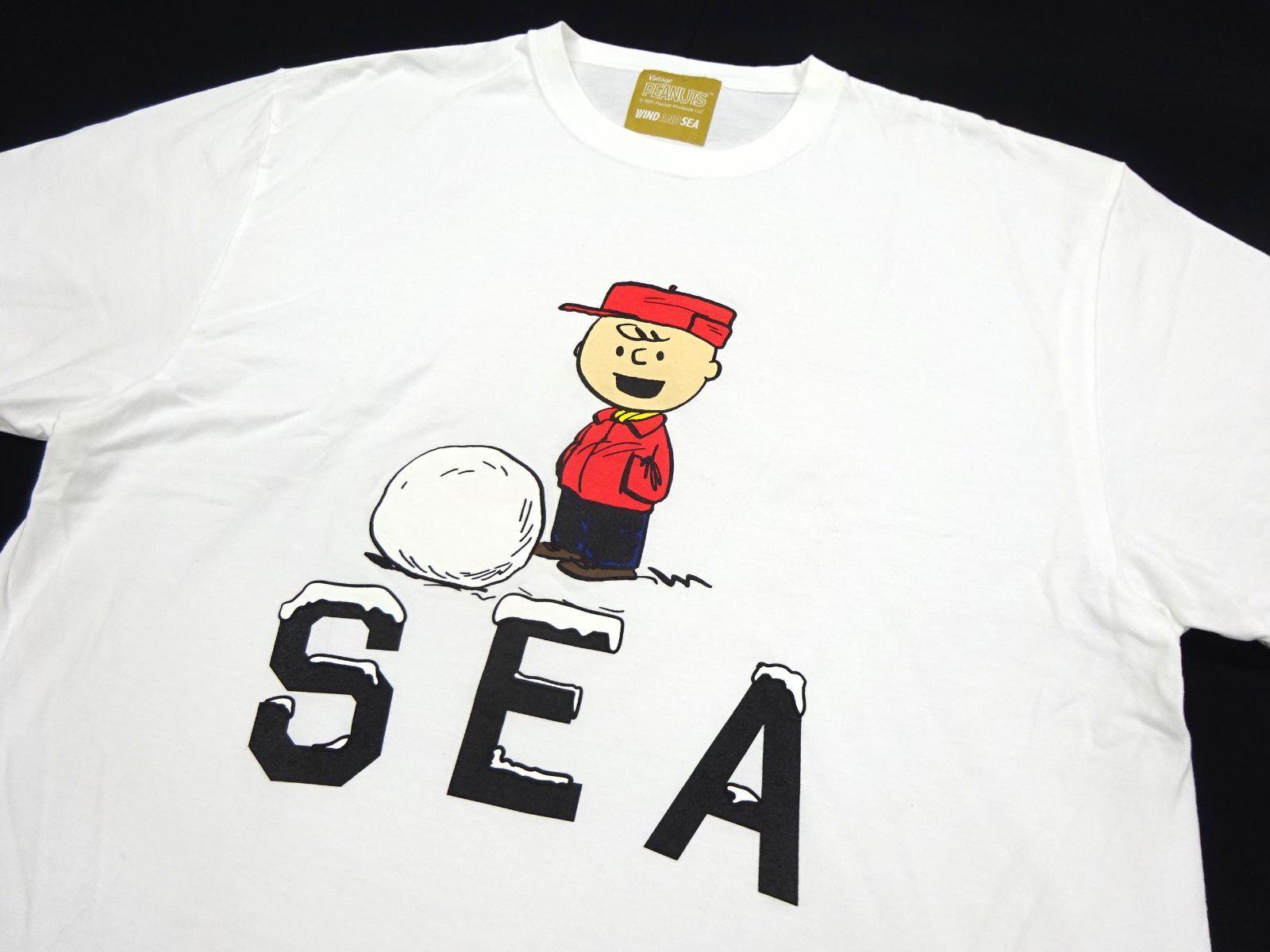 WILD AND SEA ウィンダンシー チャーリーブラウン Tシャツ XL