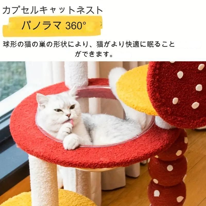 大型猫