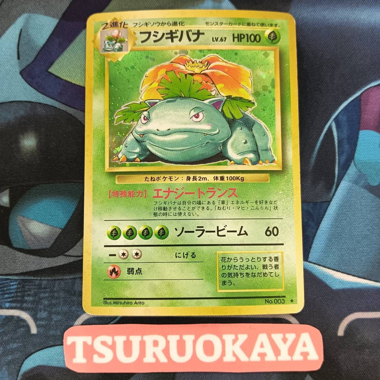 フシギバナ 第1弾拡張パック 旧裏 旧裏 ゼニガメ カメール カメックス