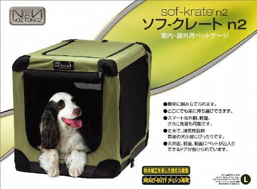 4営業日で発送 テトラジャパン