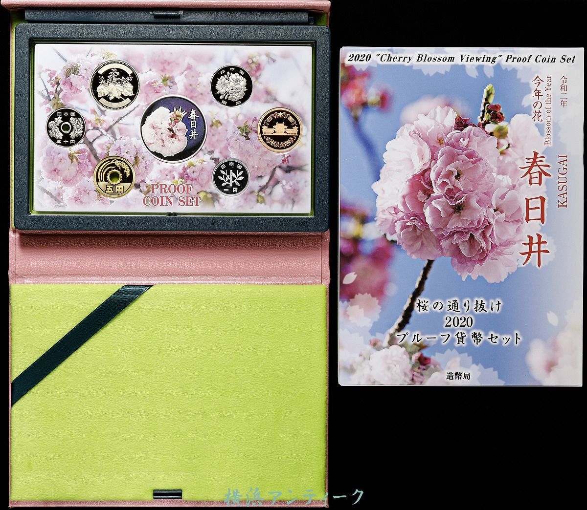 春日井 2020年 桜 通り抜け 銀貨