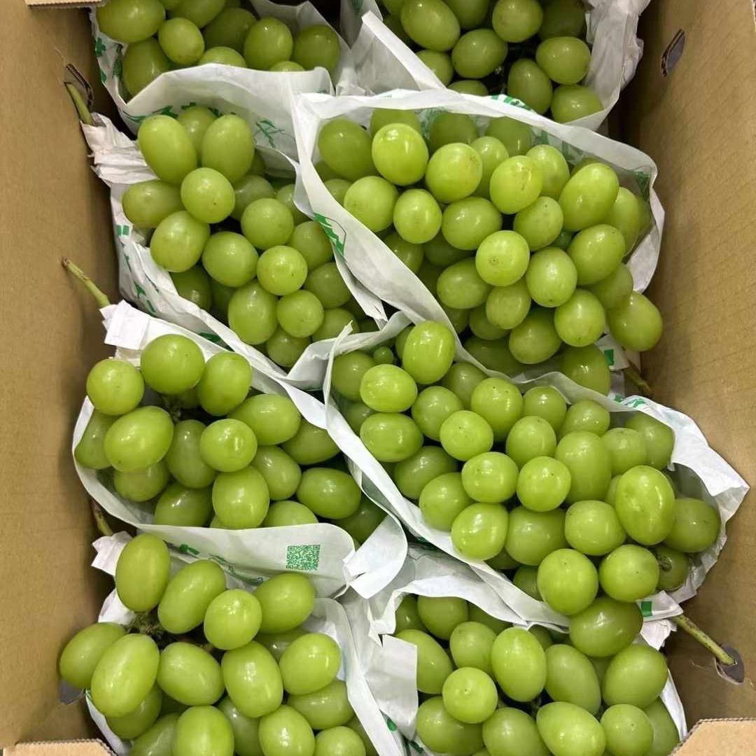 秀品約5kg❣️クール便 ❣️3セット限定❣️ぶどう生産量日本 秀品約5kg❣️クール便 ❣️3セット限定❣️ぶどう生産量日本