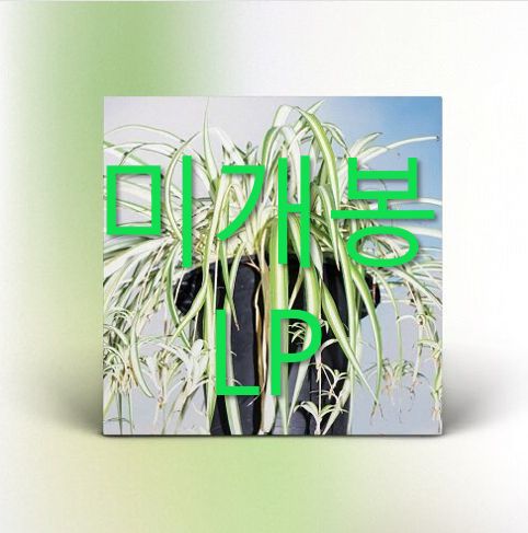 イ カンスン ー Korean Dream LP