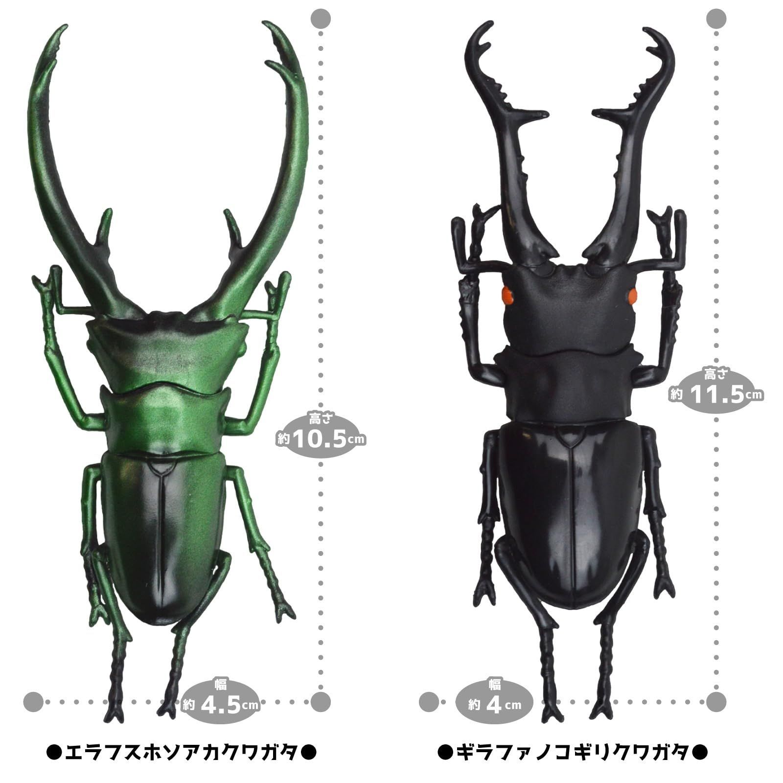 クワガタのフィギュアです大きさは、5cm位です 動物 立体図鑑 昆虫 クワガタ フィギュア おもちゃ ザ・アクセス