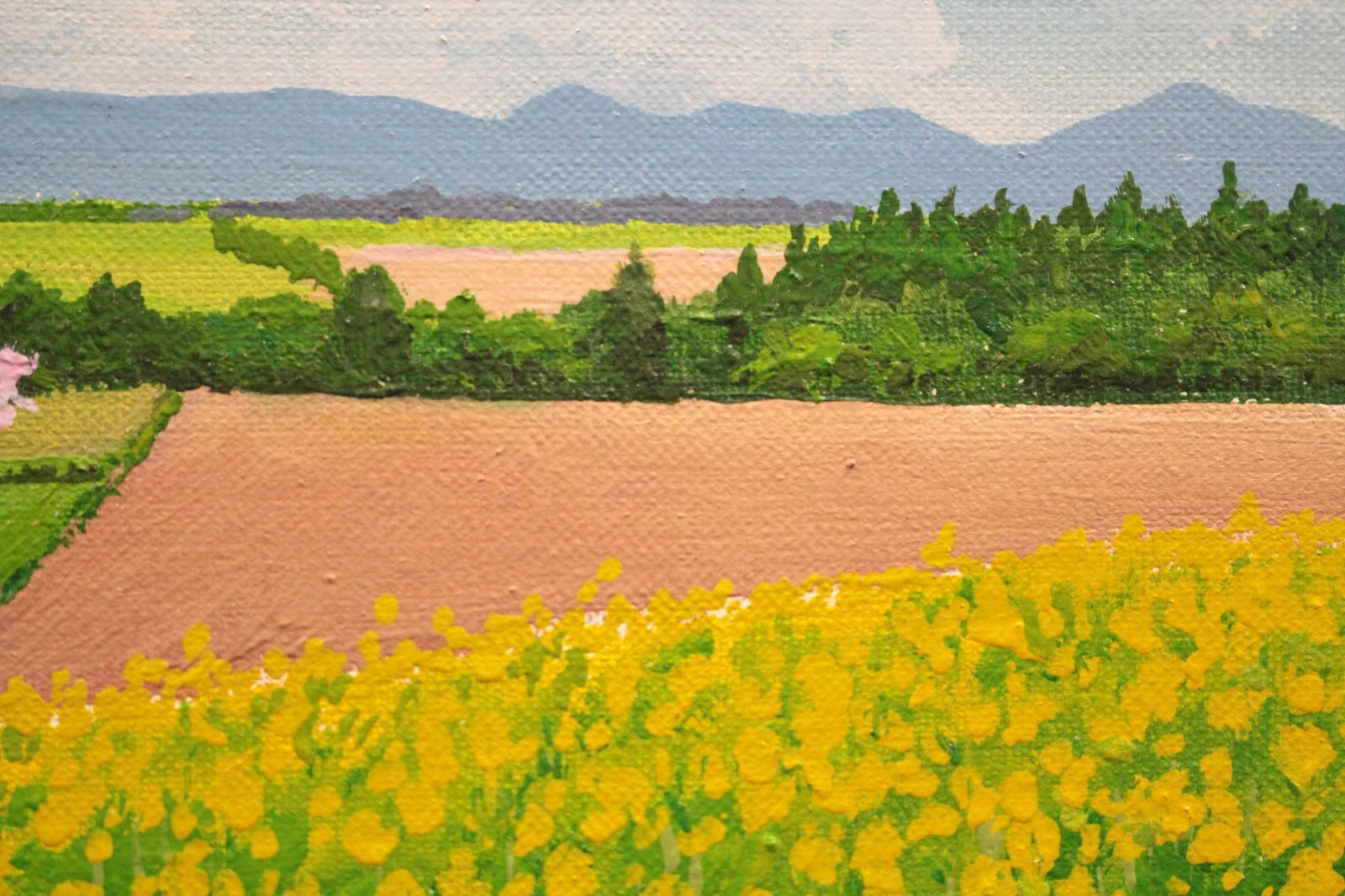 油絵 風景画 ★菜の花 P10【3月】 油絵 風景画 ☆菜の花 P10【3月】(油絵作品【菜の花の風景