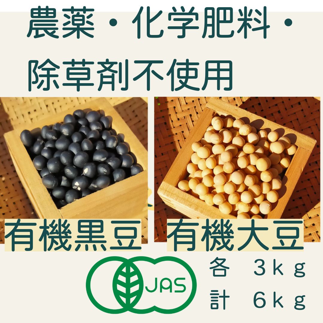 有機大豆・黒豆（各1kg×3袋・計6kg) 農薬・化学肥料・除草剤不
