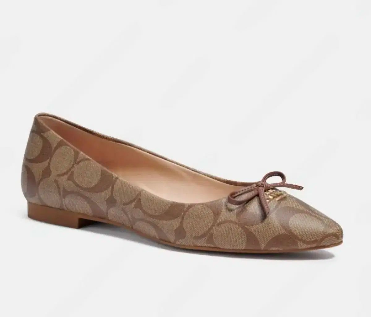 Coach ANNABEL コーチ フラットシューズ アナベル バレエ シューズ COACH アナベル レザー フラット バレエシューズ ポインテッド