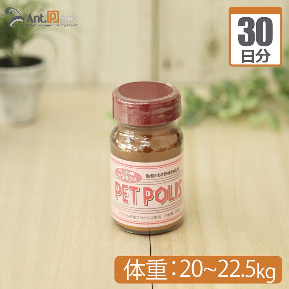 HERENDウサギのボンボニエール