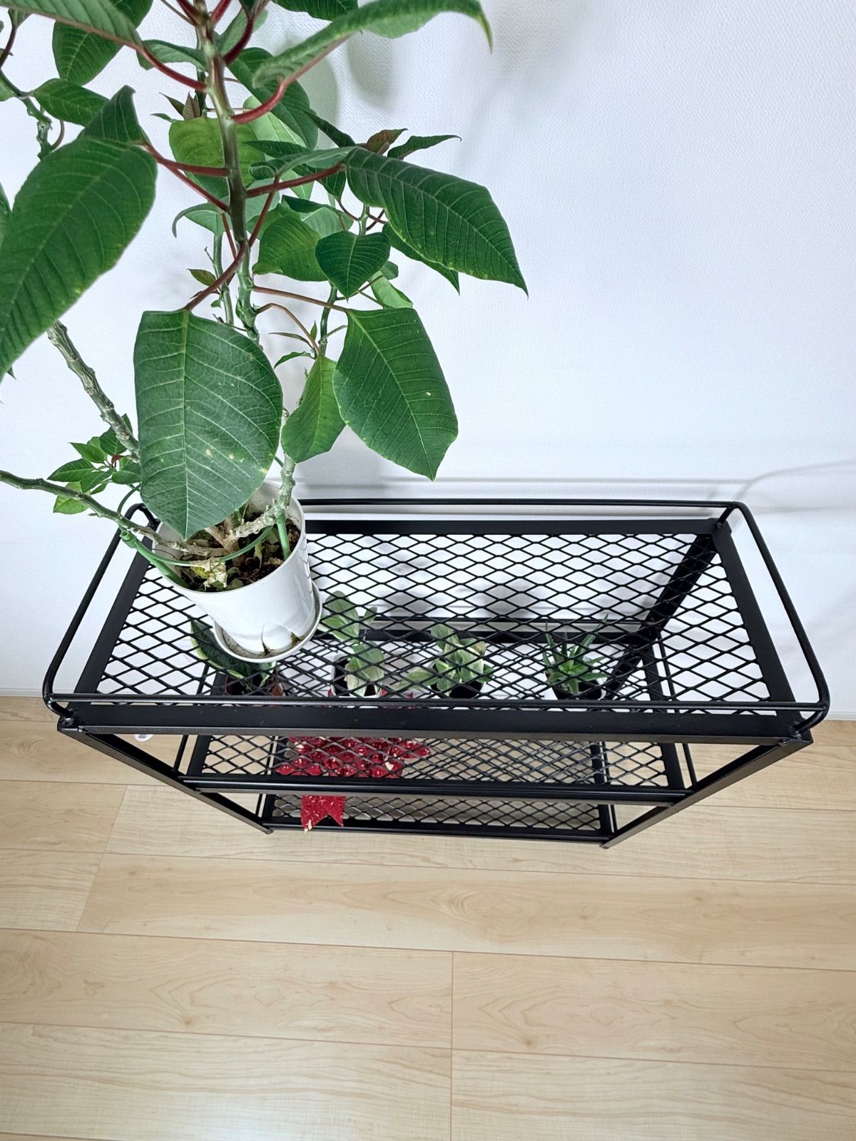 アイアン家具 植物棚 ボタニカル 棚 シェルフ アガベ 3段シェ