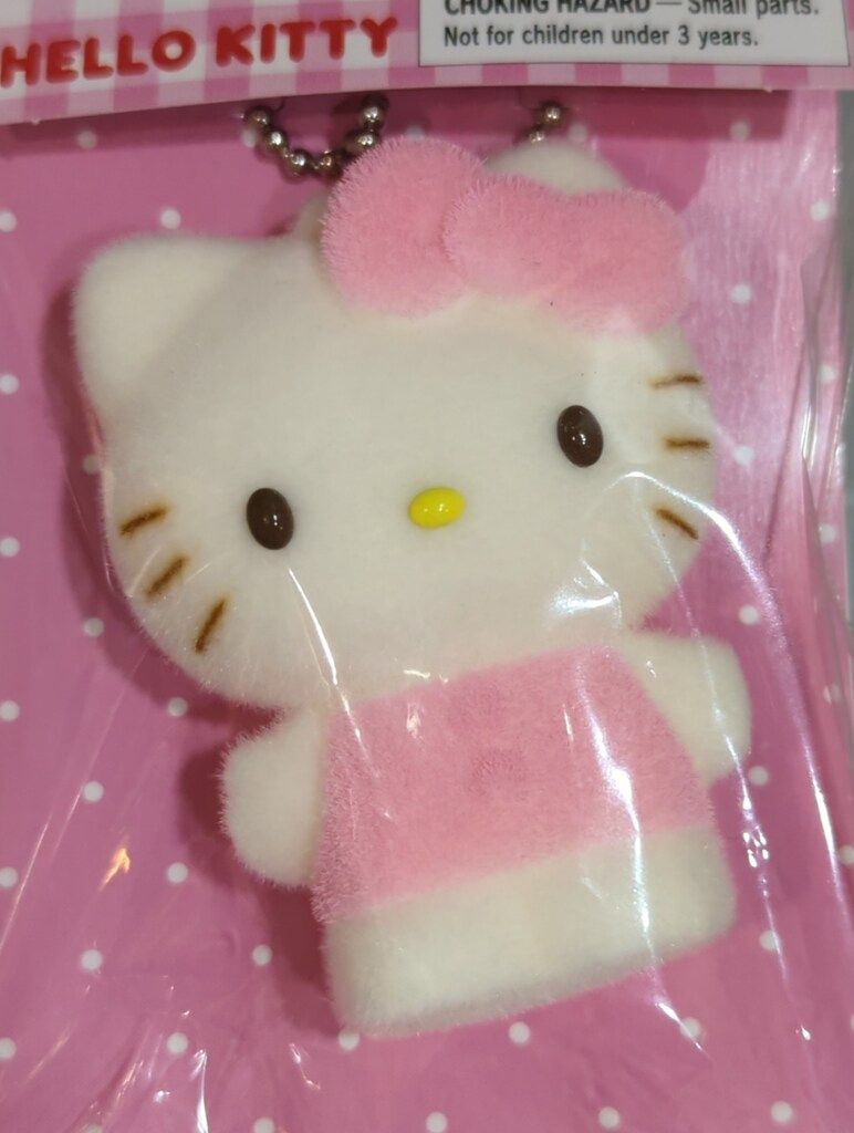 Sanrio 昭和レトロ サーフィン 日焼けハローキティ フロッキー