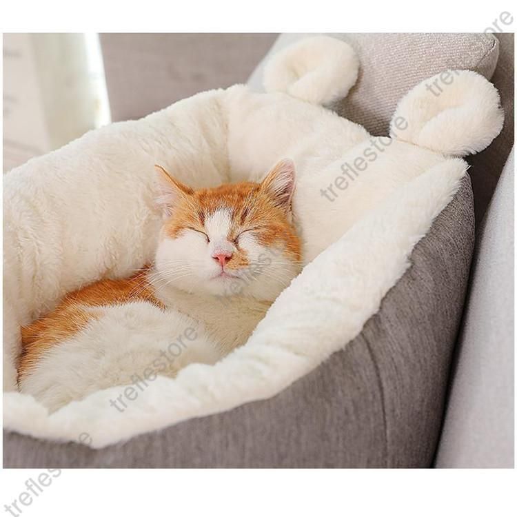 犬猫用