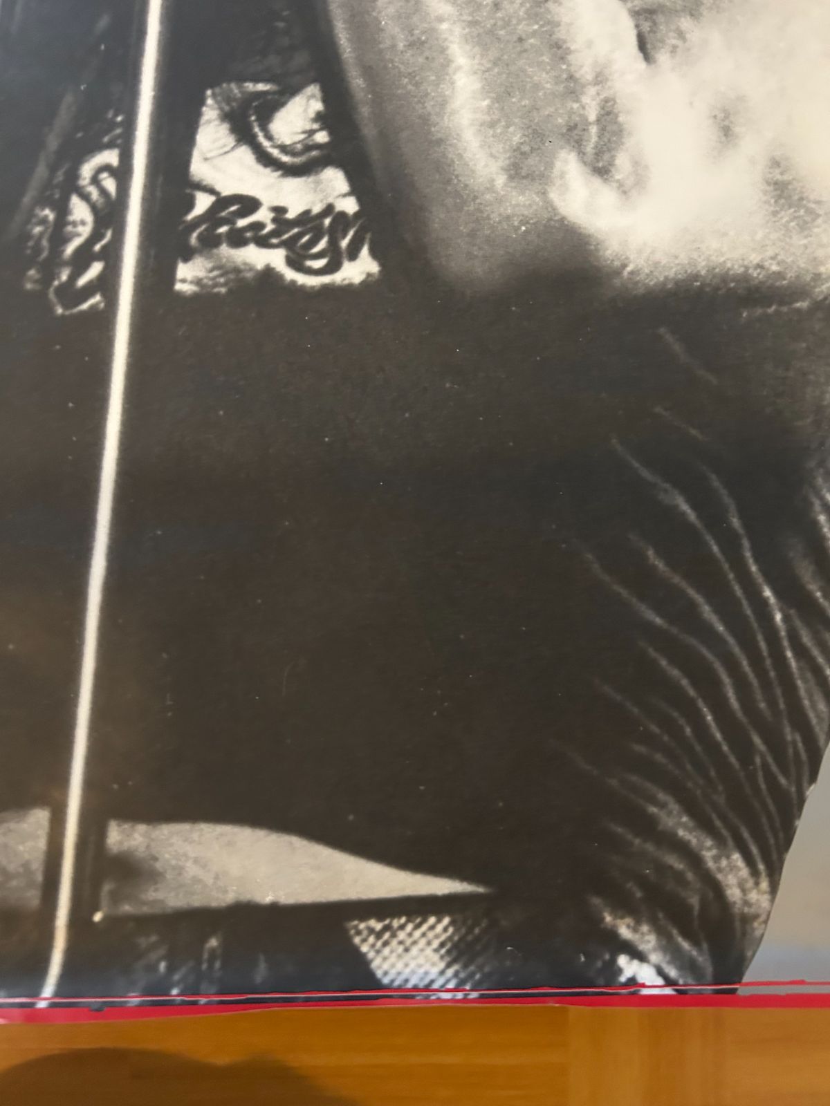 ヒステリックグラマー ブルースリー コラボ Tシャツ Bruce Lee F