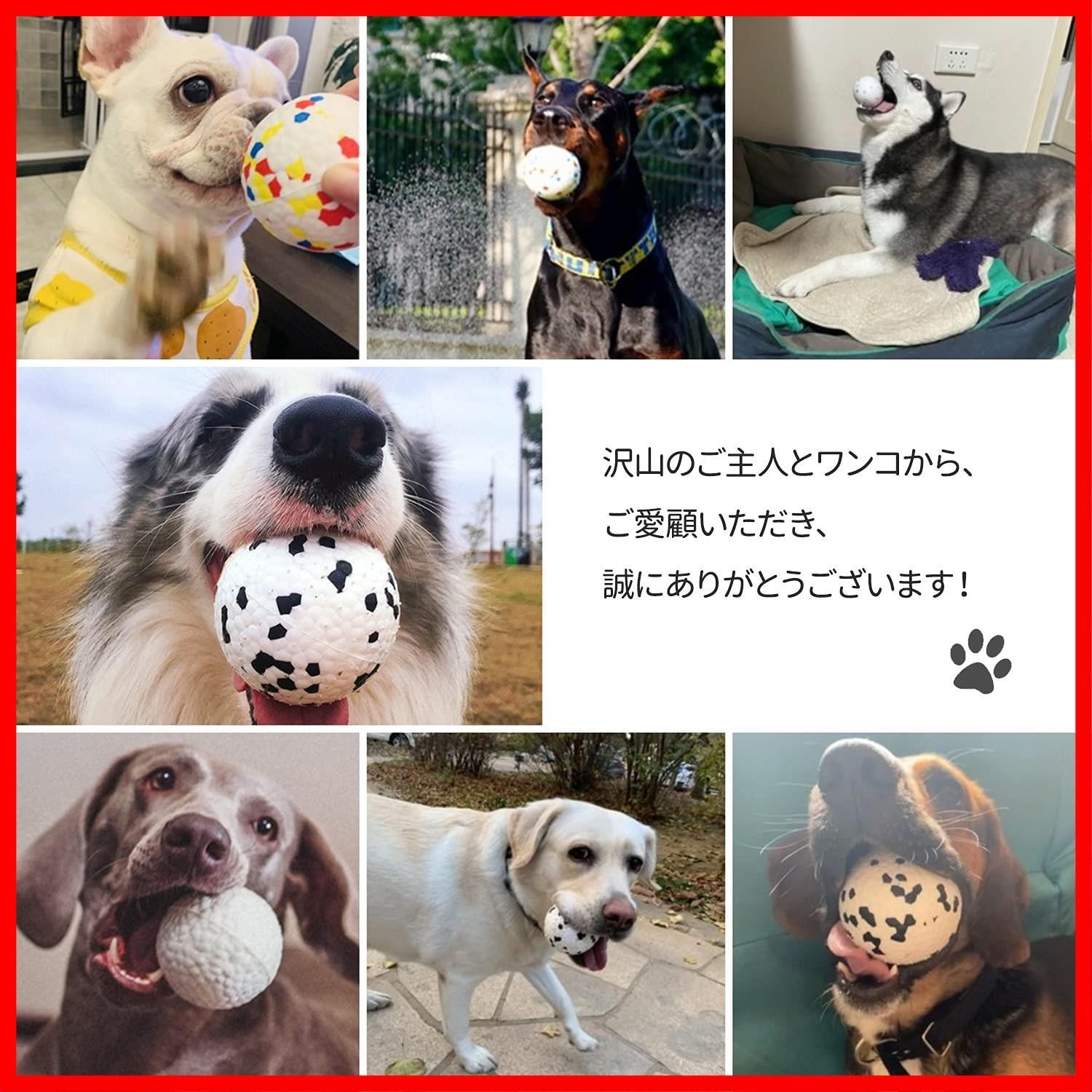 2枚セット Paniparu