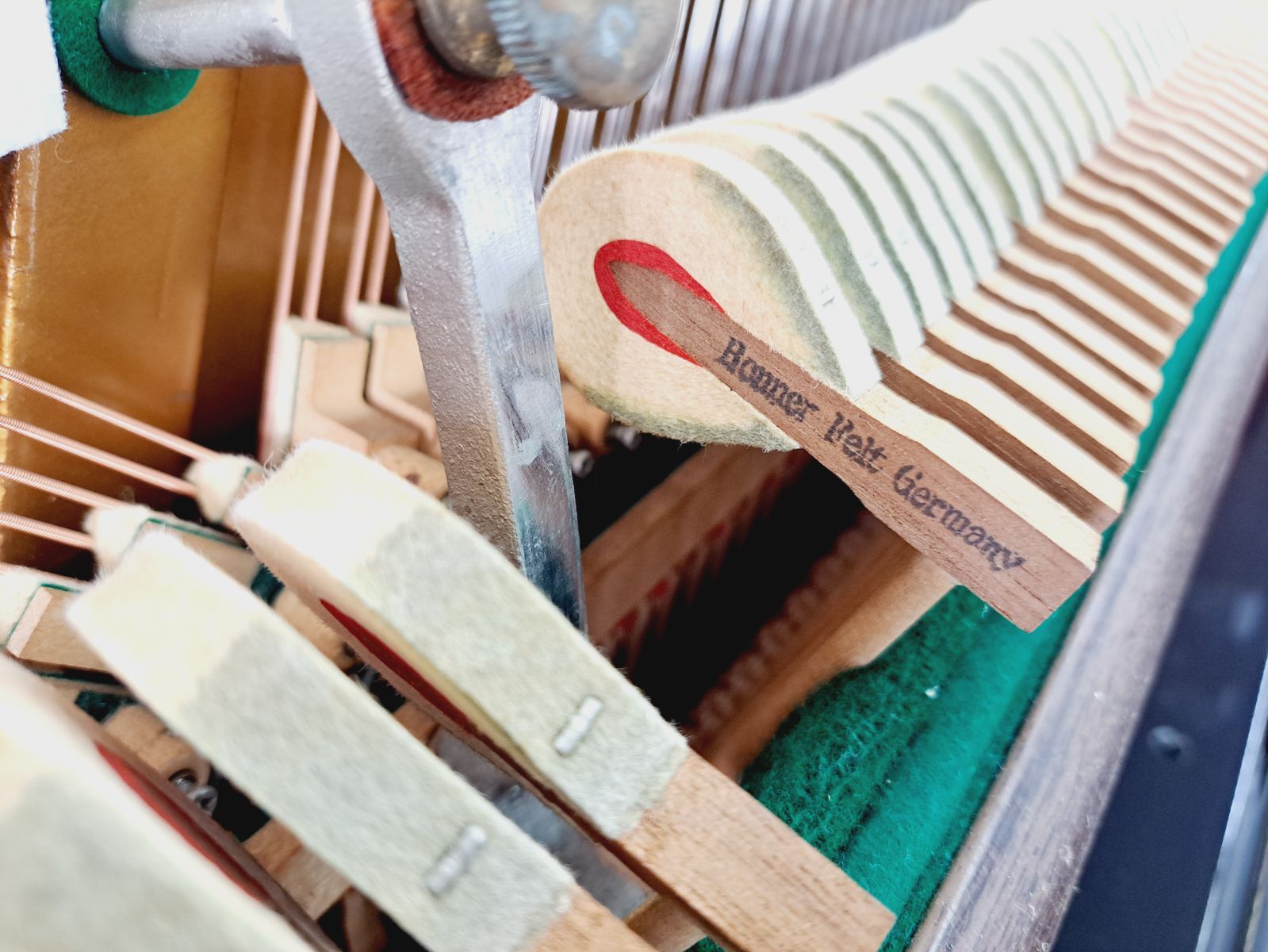 み クリーニング済み