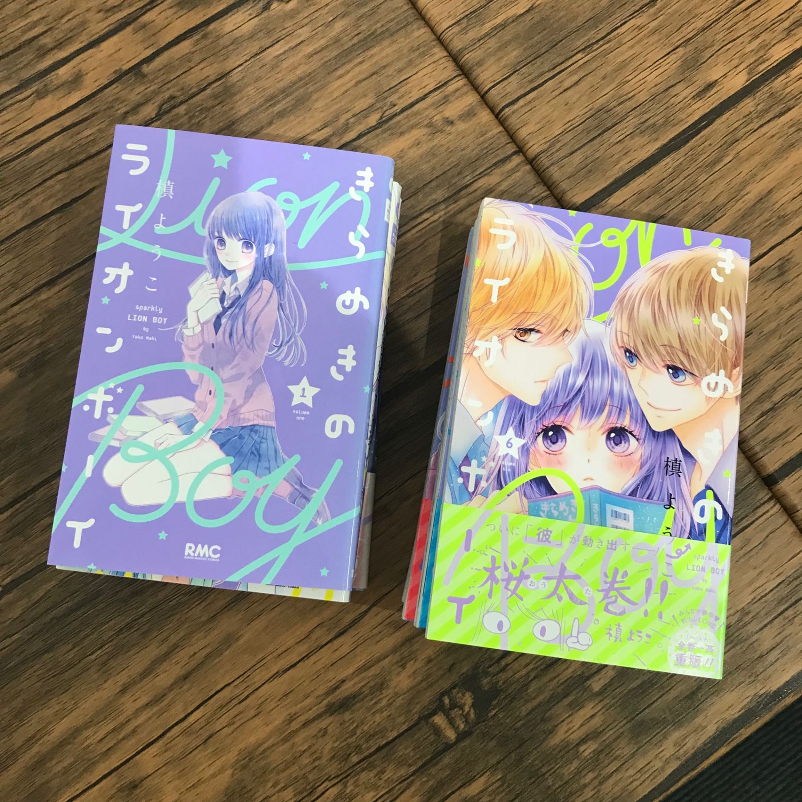 状態良好、全巻完結】きらめきのライオンボーイ 全10巻/【作者