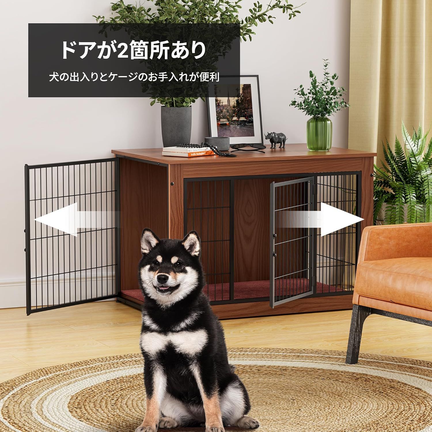 犬