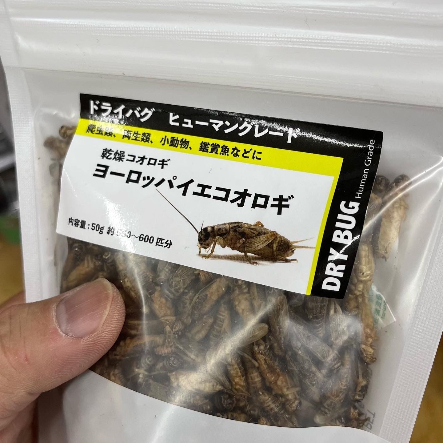 WEB限定 国産 乾燥コオロギ 脚取加工済 羽なし 30g trerhose.co.uk