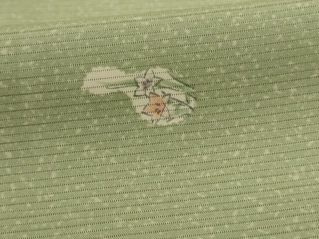 平和屋着物＊夏物 小紋