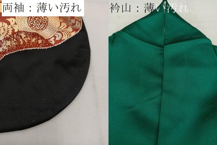 振袖フルセット豪華振袖 駒刺繍 舞蝶花丸文 金彩 正絹 振袖フルセット