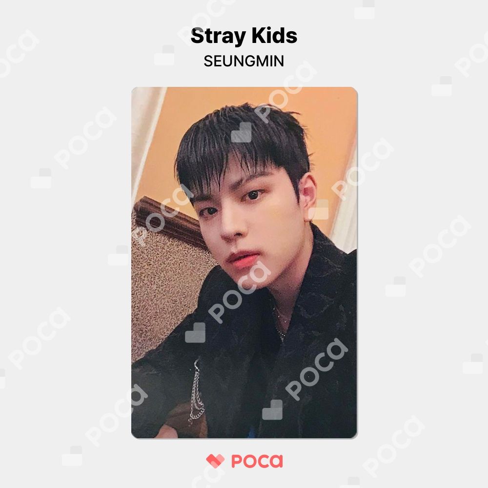 straykids スンミン スキズ トレカ ATE BINDER & PHOTOCARD SET