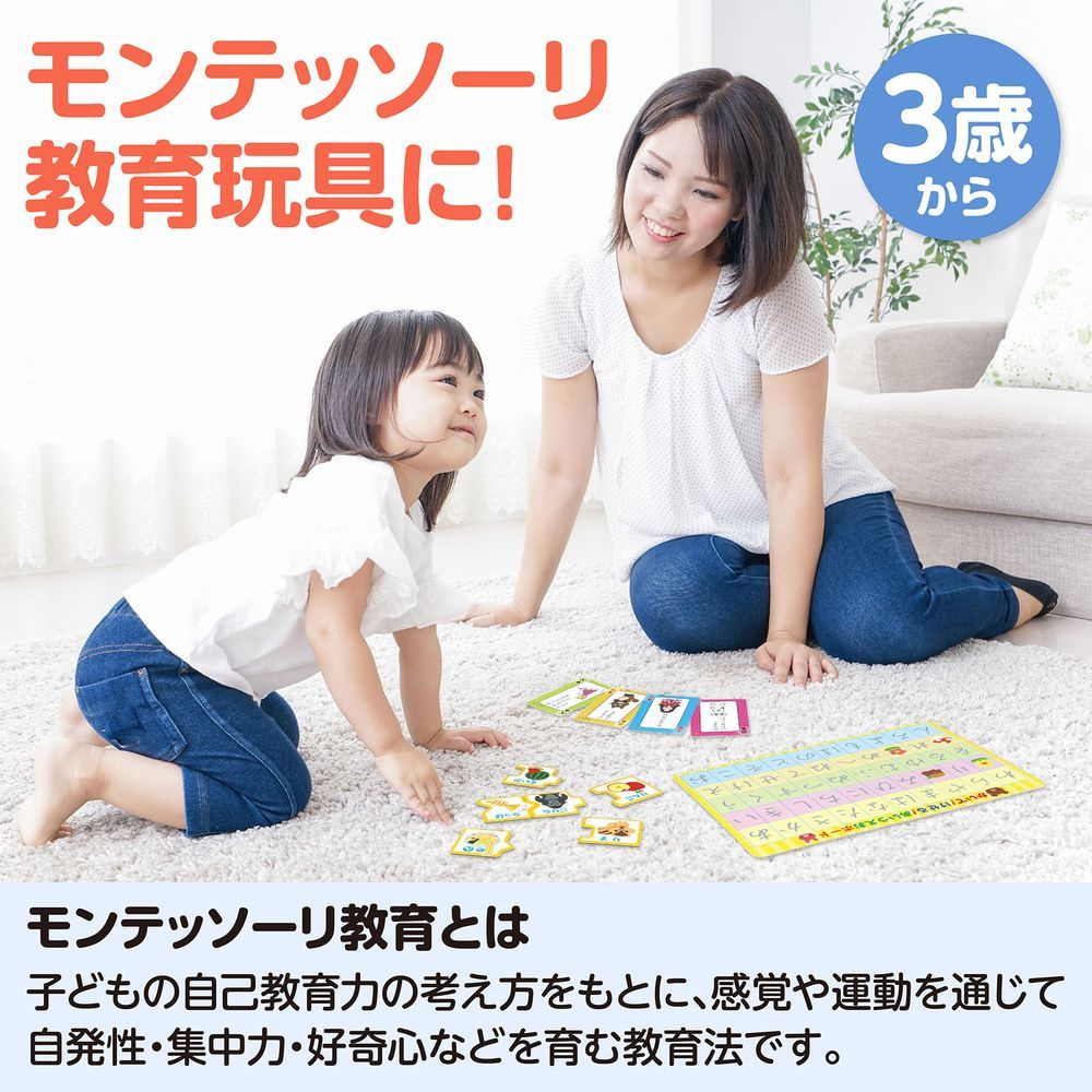 モンテッソーリ 感覚 言語 の教具3点セット まとめ買い