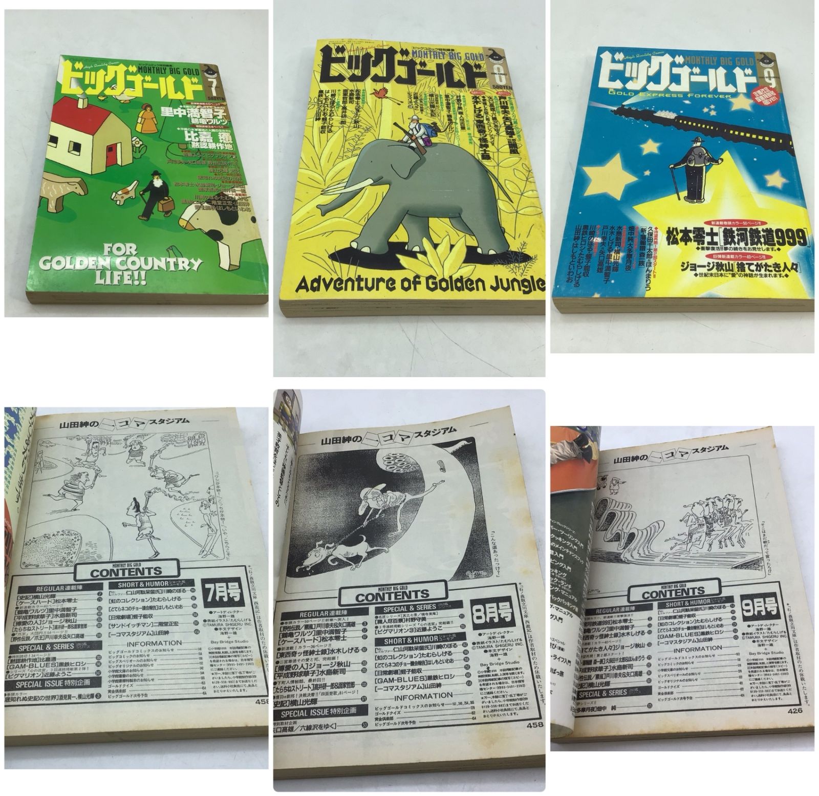 月刊 宝島 11月増刊号 ラジカルスケートブック2 技術編 昭和62年 8006 【1年分】1996年 月刊 ビッグゴールド 12冊セット 水木