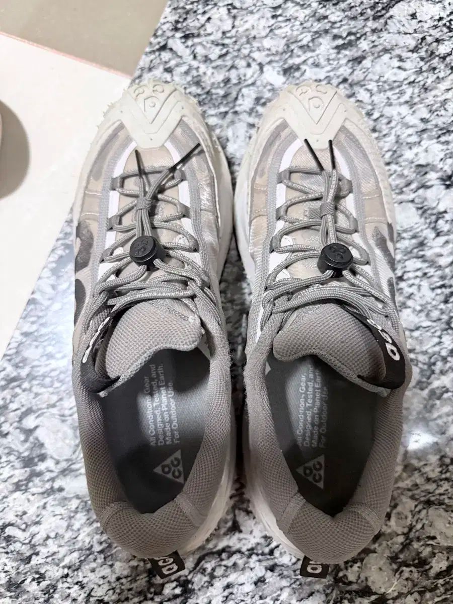 NIKE ナイキ ACG マウンテン フライ 2 ロー ライト アイアン オア