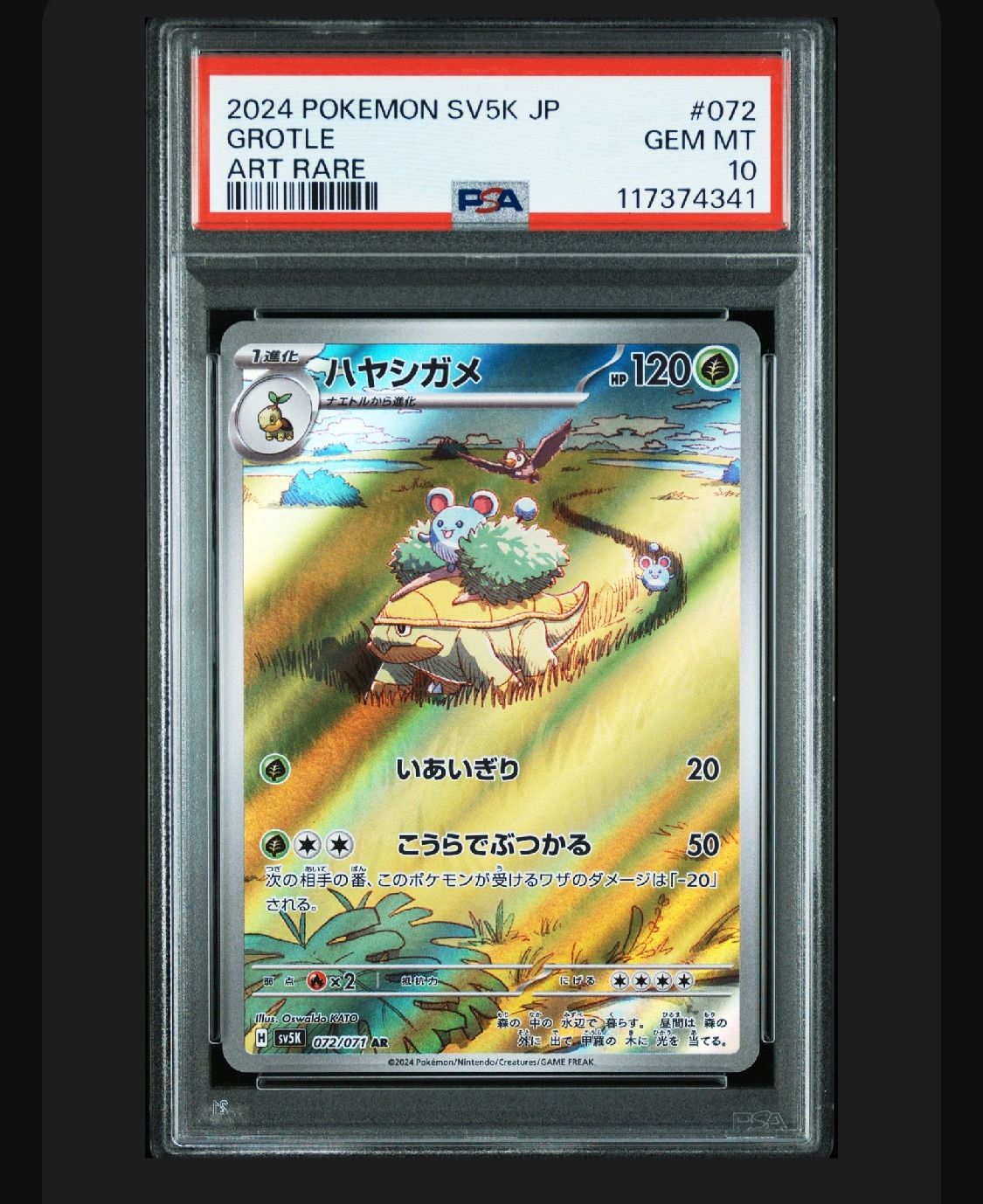 ポケモンカード　ハヤシガメ　AR PSA10 psa10]ハヤシガメ AR [SV5K 072/071](拡張パック「ワイルド