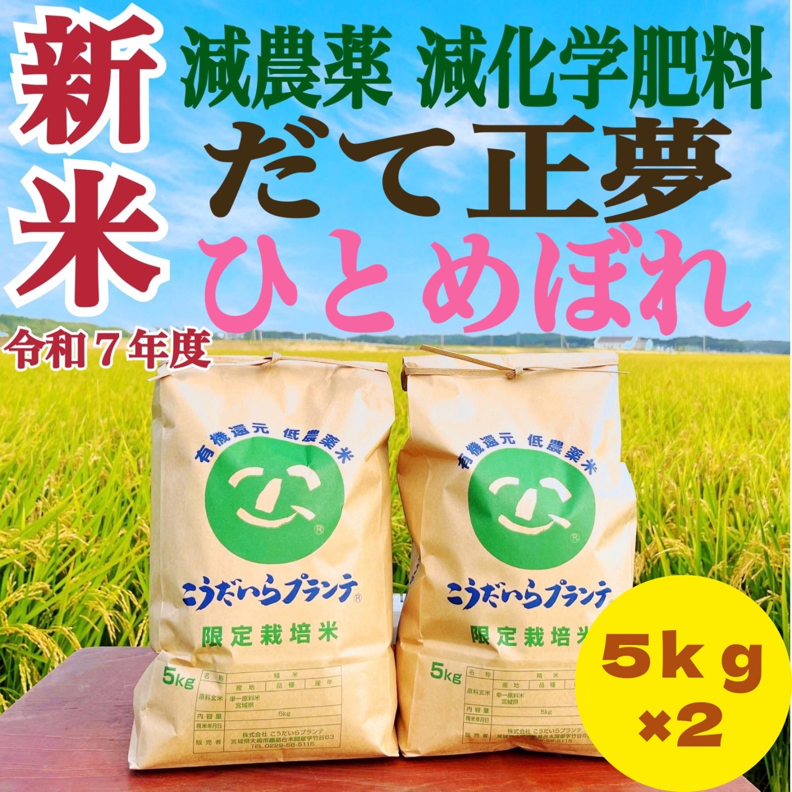新米 令和７年度 農家直送 減農薬 だて正夢＆ひとめぼれ５ｋｇずつの食べ比べセット