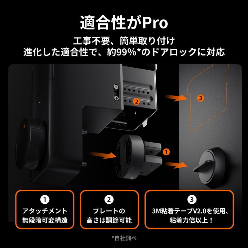 Pro