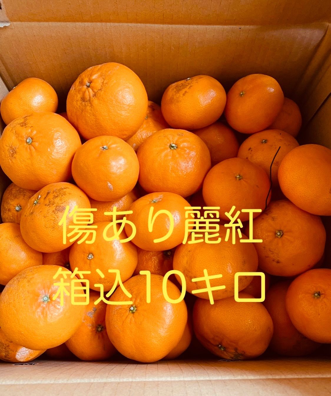 水分たっぷり甘〜い麗紅みかん 傷あり