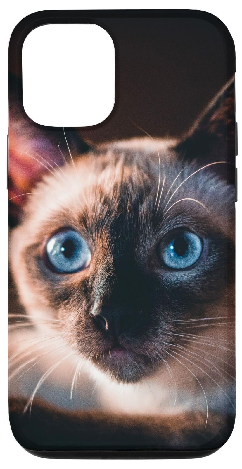 【在庫処分】13 シャム猫の子猫 iPhone スマホケース