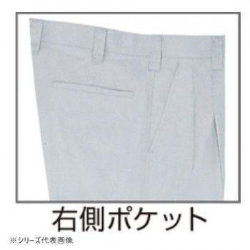 オリーブ 95