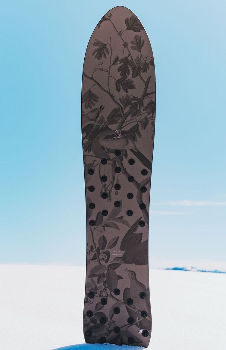 Burton famiry tree140 パウダーボード セット Burton | Family Tree