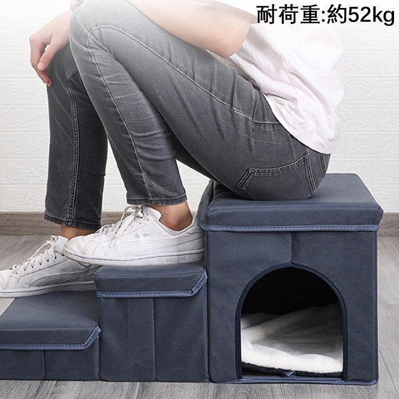 高齢犬