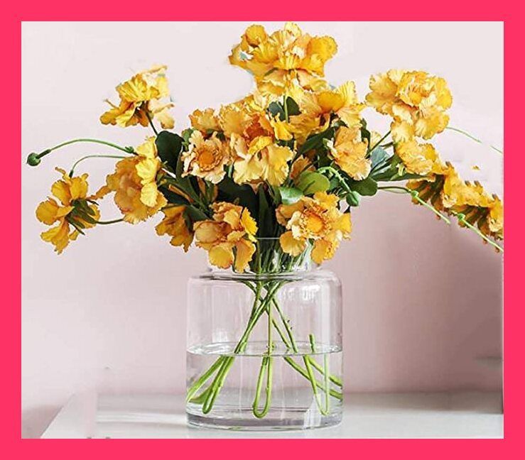 （若い若い）Young Young ガラスの花瓶 透明 花器 フラワーベース ガラスベース ガラスボトル アレンジ インテリア 水栽培 生け花 造花 おしゃれ シンプル インテリア雑貨 飾り瓶 北欧 レトロ風